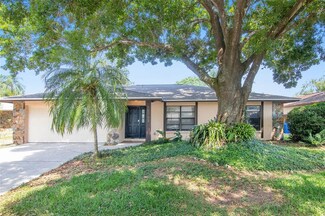 15703 Squirrel Tree Place, Tampa, FL 33624