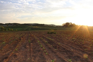 141 Self Ln, Hardyville, KY 42746