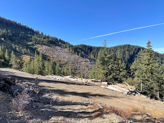 0 W Williams Creek Rd Unit 220191337, Williams, OR 97544