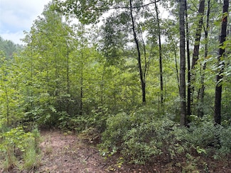 000 An County Road 3194, Frankston, TX 75763