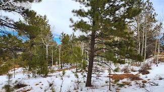 0 Piney Point Ln, Woodland Park, CO 80863