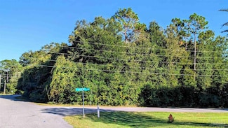 0 Pickens Ave Unit 672490, Lillian, AL 36549