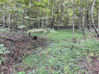 917 Mudlick Run Rd, Fairmont, WV 26554