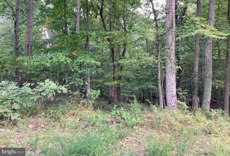 TBD Yarnell Ct, Front Royal, VA 22630