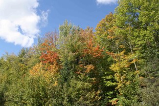 LOT 19 Many Rock Rd, Mercer, WI 54547