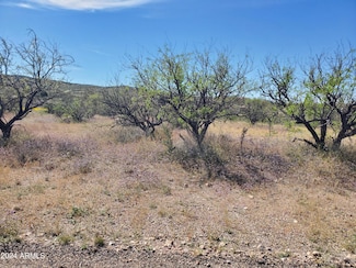 173 Via Ventosa -- Unit 98, Rio Rico, AZ 85648