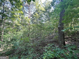 0 Nottingham Way NE Unit 10327054, Fairmount, GA 30139