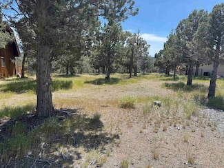 5-3 Lot 118 Snead Dr Unit 5-3, Lake Shastina, CA 96094