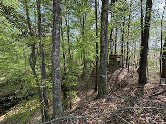 2 Crews Ln, Crystal Springs, MS 39059