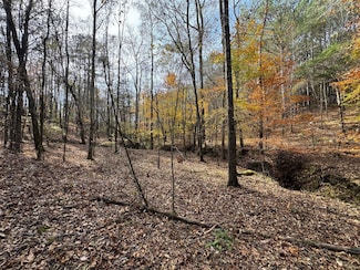 Middelton Rd, Elberton, GA 30635