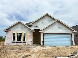 14321 Duckworth Trace, Manor, TX 78653