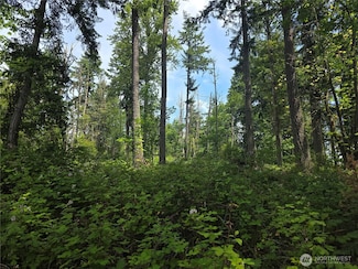 29615 Orting Kapowsin Hwy E, Graham, WA 98338