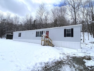 90 Linnea Ln, Washington, VT 05675