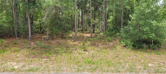 9169 N Saponaria Dr, Citrus Springs, FL 34433