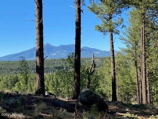 3355 S Running Iron, Flagstaff, AZ 86005