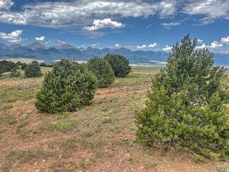TBD - Lot 21 Kiowa Rd, Westcliffe, CO 81252