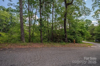 Lot 207 Plantation Dr, Rutherfordton, NC 28139