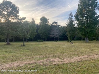LOT 23 Eagle Pointe Landing, Double Springs, AL 35553