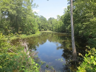 0 Old Highway 49 Unit LotWP004, Seminary, MS 39479