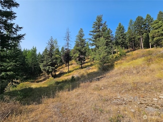 0 Matts Rd Unit NWM2235616, Oroville, WA 98844