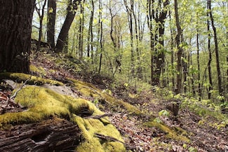 0 Chop Chestnut Road Lot Unit Wp001, Stanton, KY 40380