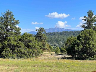 Lot 8 Bristlecone Dr, Pagosa Springs, CO 81147