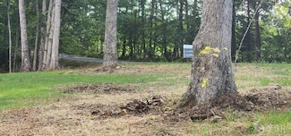 Lot 58 Buccaneer Rd, Moneta, VA 24121