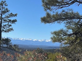 15842 Ponderosa Loop Unit 1 & 2, Bon Carbo, CO 81024