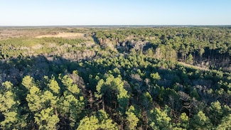 N Tract Tbd State Hwy 64, Ben Wheeler, TX 75754