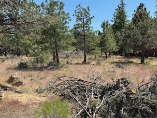 Unit 1 Lot 91 Harborview Dr Unit 1, Lake Shastina, CA 96094