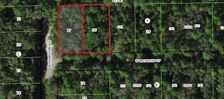 7715 W Rainbow St, Dunnellon, FL 34433