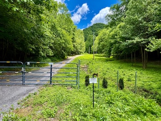3000 Caney Creek Ln, Greeneville, TN 37745