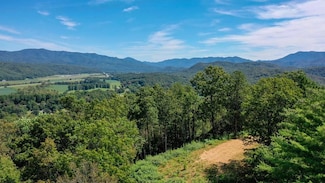 5 Black Rock Trail, Andrews, NC 28901