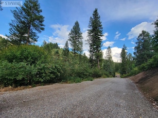 L37B4 Palisades Creek Rd, Irwin, ID 83428