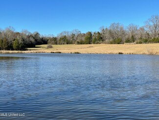 922 Shady Grove Rd, Goodman, MS 39079