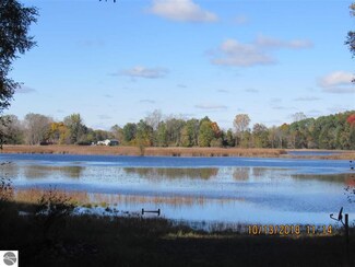 00 Swan Dr, Crystal, MI 48818