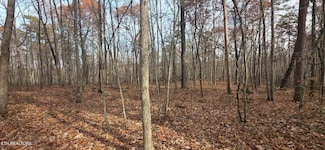 25 Down Place, Monterey, TN 38574