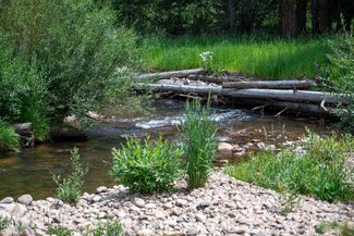 148 Beavers Lodge Rd, Winter Park, CO 80482