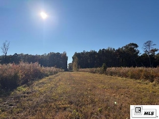 123 Sulphur Spring Rd, Bastrop, LA 71220