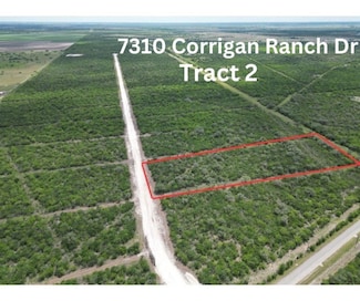 7310 Corrigan Ranch Drive- Tract 2, Skidmore, TX 78389