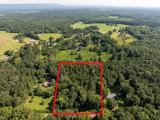 0 Loop Rd Unit 24046544, Ashville, AL 35953