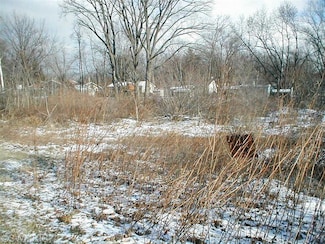 0 Red Arrow Hwy Unit 25003360, Stevensville, MI 49127