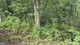 10 Magnolia Dr, Front Royal, VA 22630
