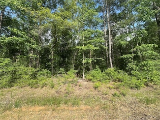 23809 Farm To Market 2262, Apple Springs, TX 75926