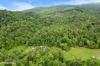 361 Skaggs Hollow Rd, Tazewell, TN 37879