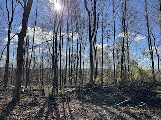 TBD Spruce Run Rd, Terra Alta, WV 26764