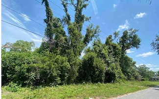 0 SE Osgood Ave, Madison, FL 32340