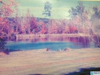 0 County Road 353 Unit 1 724056, Maplesville, AL 36750