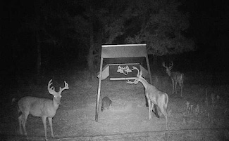 19650 Farm To Market Road 530, Hallettsville, TX 77964