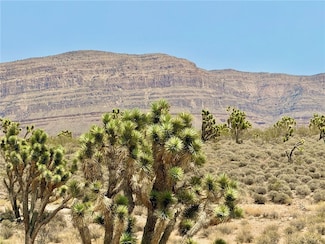 26681 N Yucca Rd, Meadview, AZ 86444
